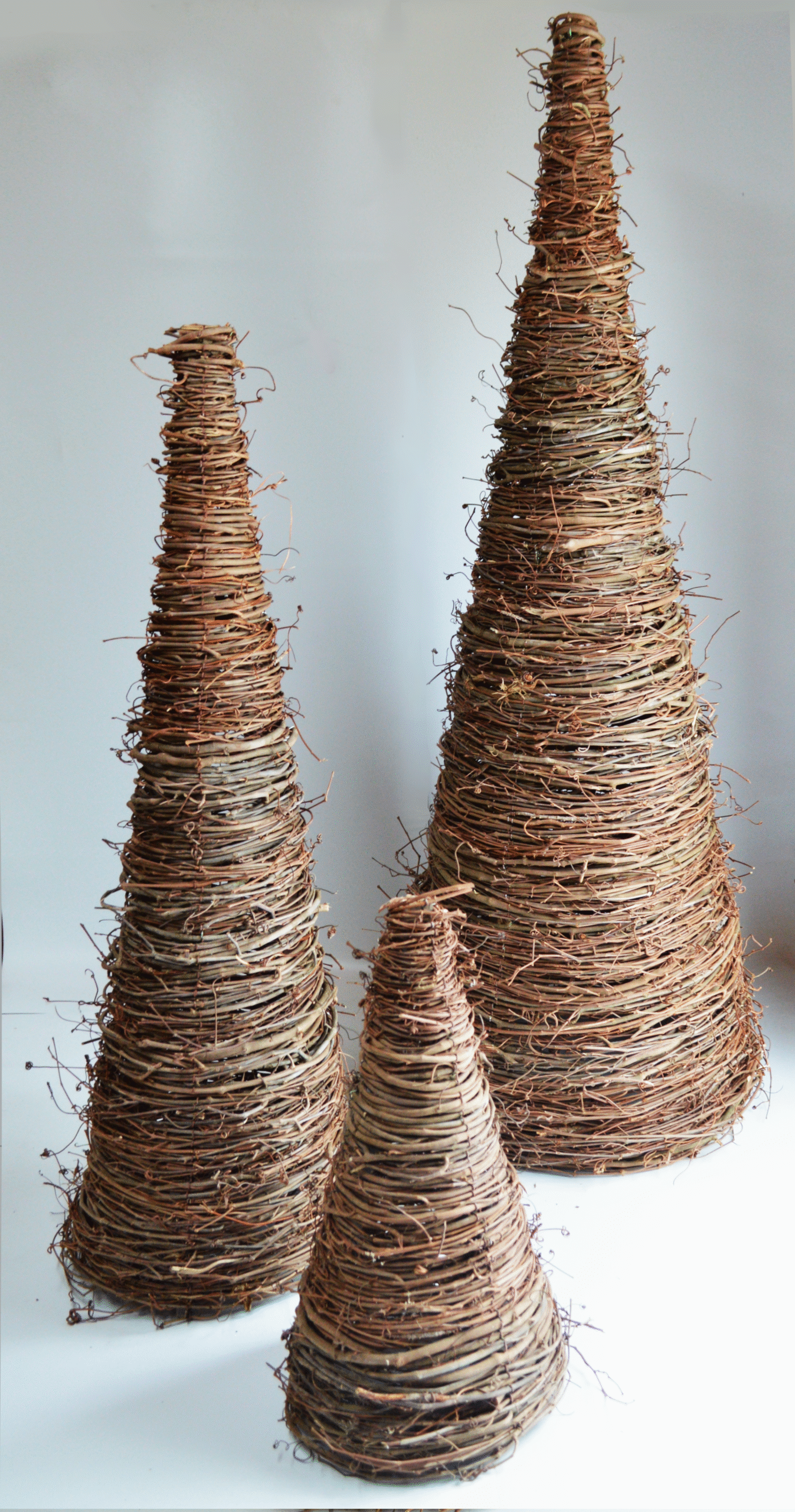 medum-tree-group-103