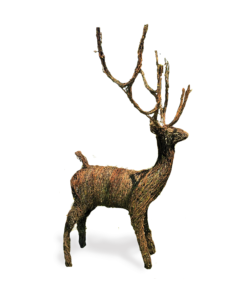 Grapevine Deer