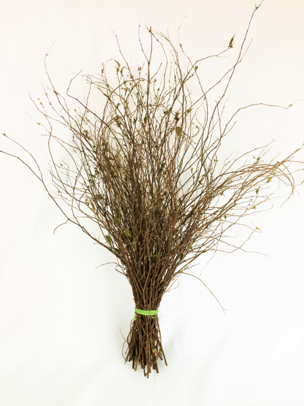 Twig Branches 48″